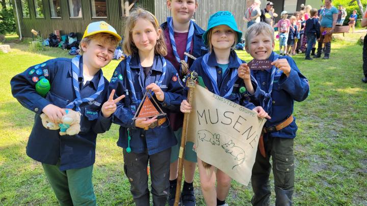Ringsted Gruppes Minier, Musene, med deres priser